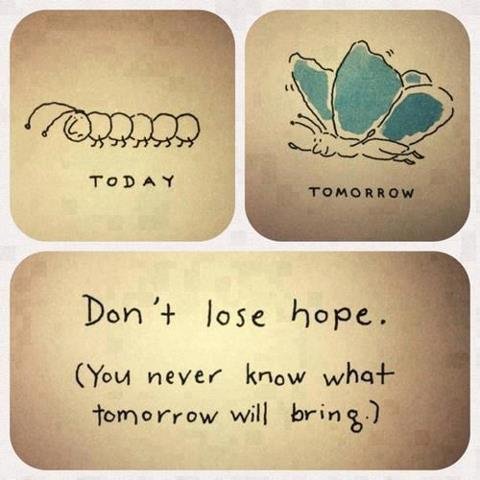 DDSStockton's tweet photo. You never know what tomorrow will bring!  #hope #wednesdaywisdom https://t.co/pBecXDbLrQ
