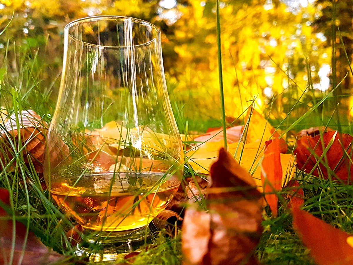 BHeulsen's tweet photo. Glaasje op de zon #slainté #indiansummer #laphroaig #herfst #fall #S7 #samsung https://t.co/vFhRDG6zRx