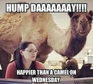 happy hump day folks 47th st /park av great day for a famous Carl's philly cheesesteak lovefor all GOT WHIZ? @mlb @nfl