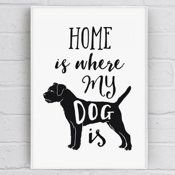 EndlessPetID's tweet photo. If you ♥️ your Dog as much as we ♥️ ours, share your story! #HumpDay #DogQuotes #EndlessPetID 
#HighTechPetTag  🐾🐾
#HighTechTag        🐾🐾 https://t.co/4iMXiuxJ3a