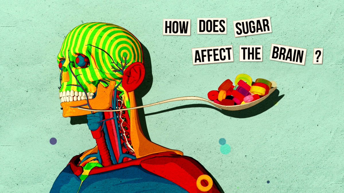 TED_ED's tweet photo. When you eat something sugary, your taste buds, your gut and your brain all take notice: https://t.co/JzhiiUVkdM #ConstantlyCurious https://t.co/TWgF3YNfoO