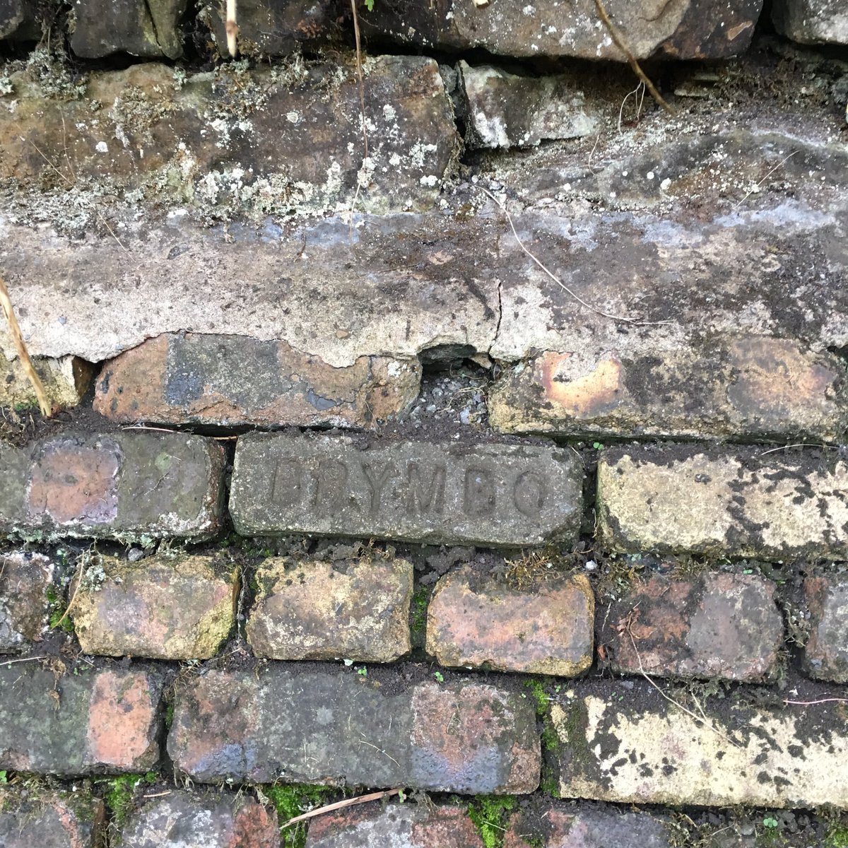 PhileousFudge's tweet photo. .@cys_support some great photos from our visit to @brymboheritage https://t.co/QcvIxn5PC2
