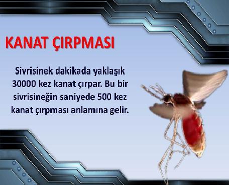 75Myjade's tweet photo. #AllahYoktanVarEdendir https://t.co/sKl8PNKqbz