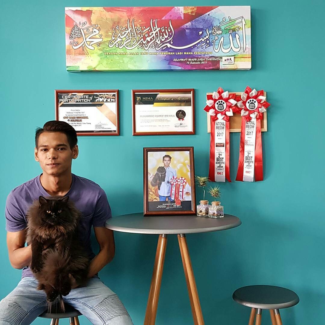 Amaluddin Mahmood On Twitter Jemput Ke Omot Pet Shop Kedai Ashraf Halil Di Cyberjaya Untuk Pet Food Amp Products Grooming Boarding Ada Resident Cat Omot Si Gemuk Https T Co 5ji7vvdghy Twitter
