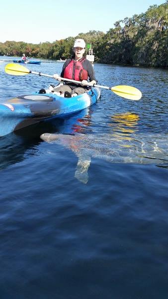 Make your reservations now for a very special experience with these magnificent mermaids of peace!  
kayakbluesprings.com