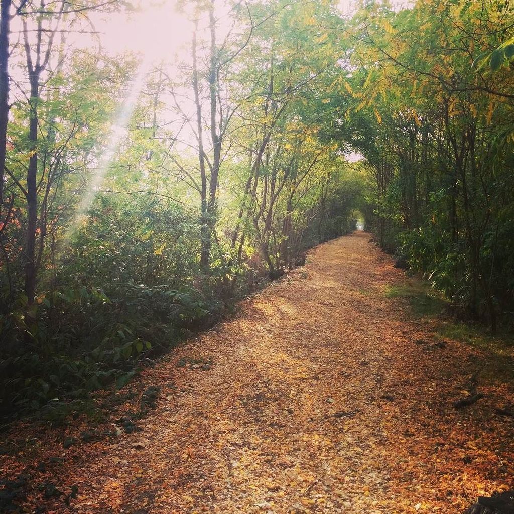 massimogorla's tweet photo. Una bella #passeggiata nella #campagna di #pernate #novara https://t.co/D5fxEp5BwS https://t.co/sFBDS9Cf5t