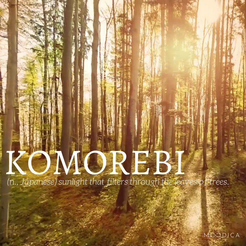 moodica's tweet photo. KOMOREBIi (n., Japanese): sunlight that filters through the leaves of trees. #WednesdayWisdom #Nature #Moodica https://t.co/em8Y7J41AM