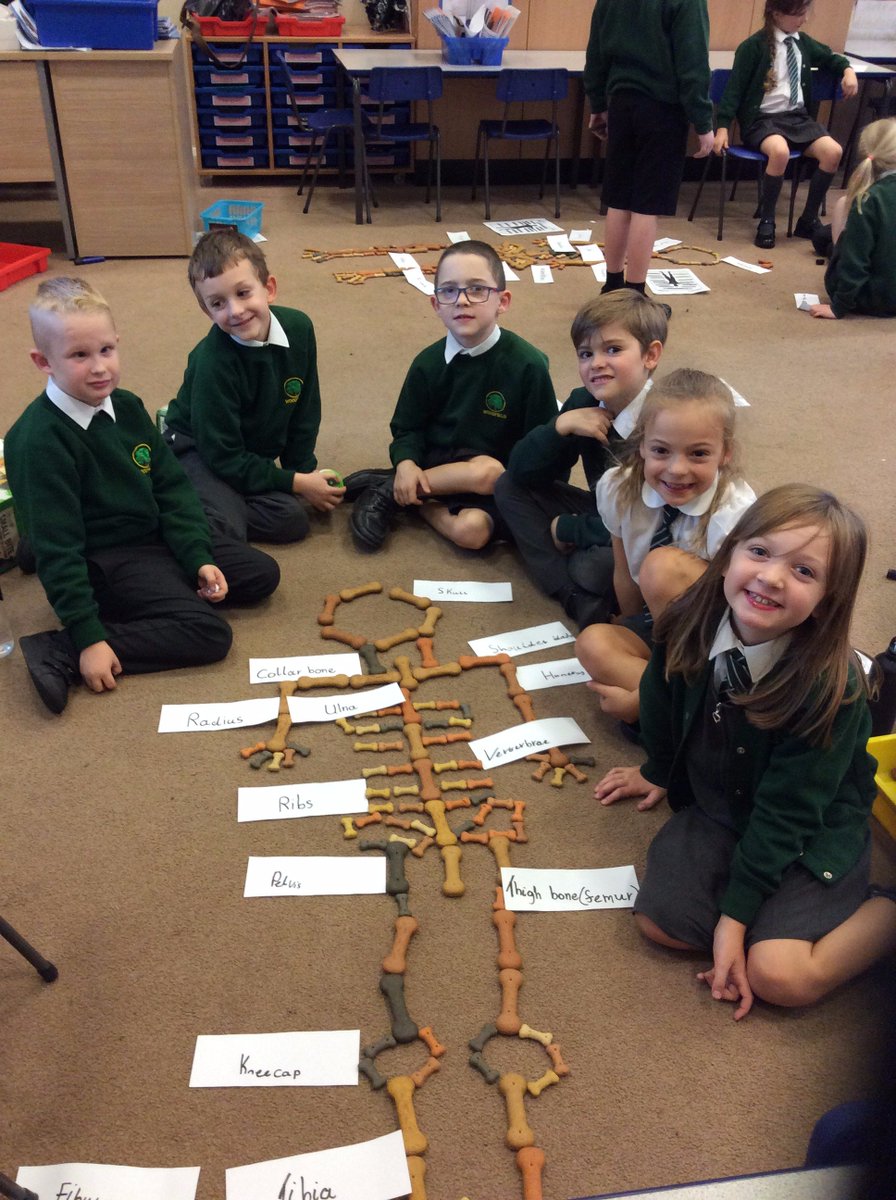 WoodfieldWigan's tweet photo. Year 3 have had a fantastic afternoon creating a diagram of our human skeleton in Science with Mrs Fairhurst. Great work! https://t.co/tGC15zCgCf