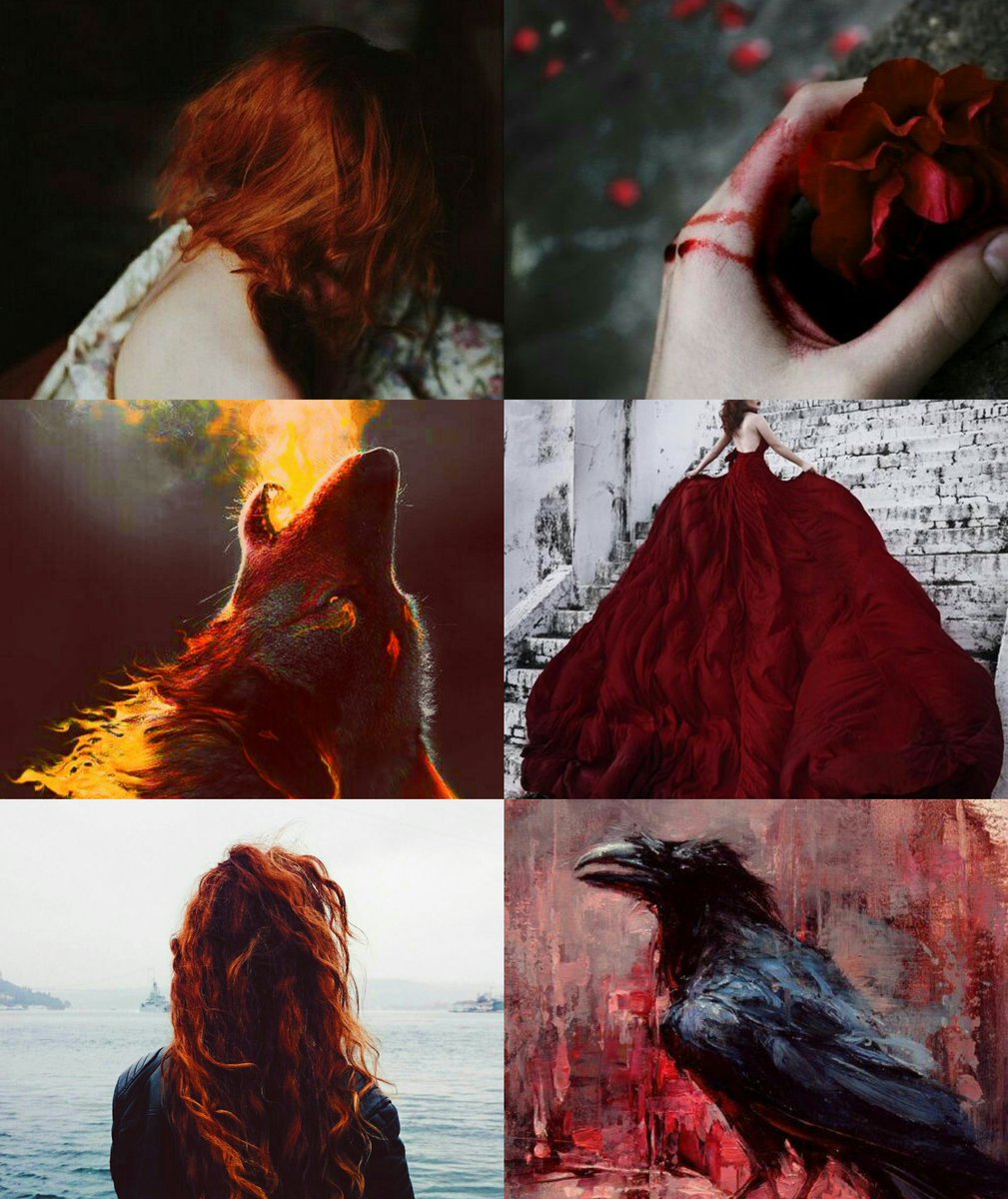 SophieStark__'s tweet photo. 『 Sophie Turner Stark 』

              🐺 winter is coming ❄ https://t.co/DrhTdOyLWl
