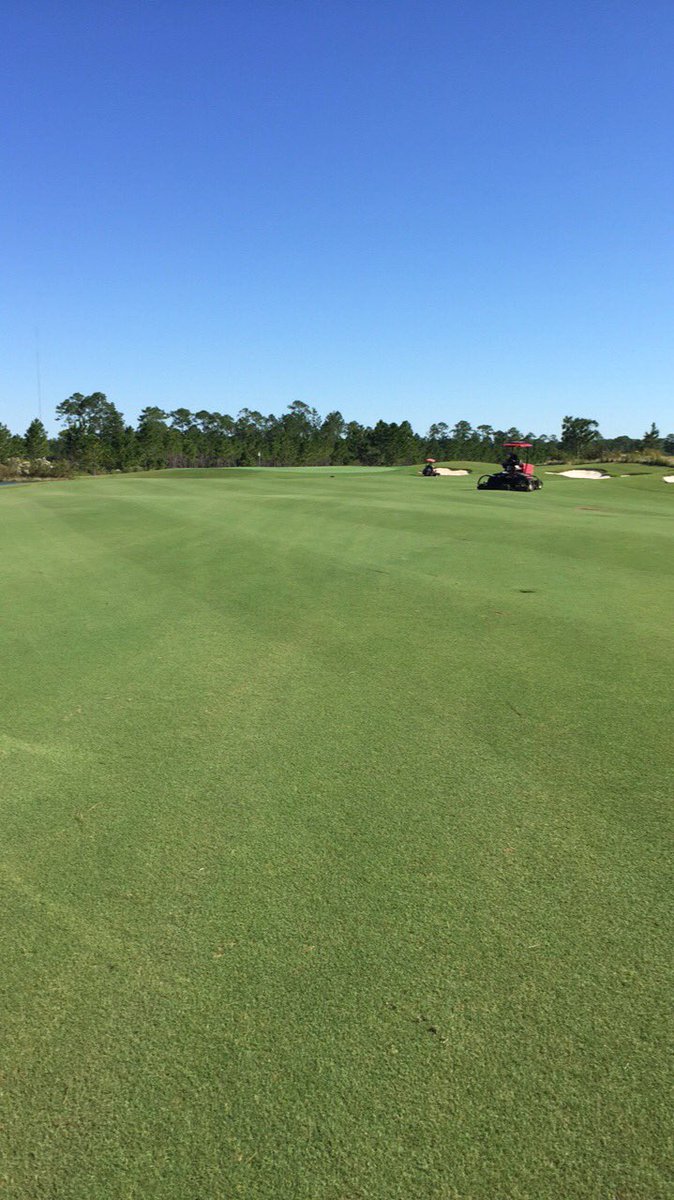 Stripe game strong <a href="/PreserveGCAgr/">PreserveGC Agronomy</a> today ⛳️ <a href="/TheToroCompany/">Toro</a> <a href="/JerryPateCo/">Jerry Pate Turf & Irrigation / Century Equipment</a> <a href="/GCImagazine/">GOLF COURSE INDUSTRY</a> #turflife #golf