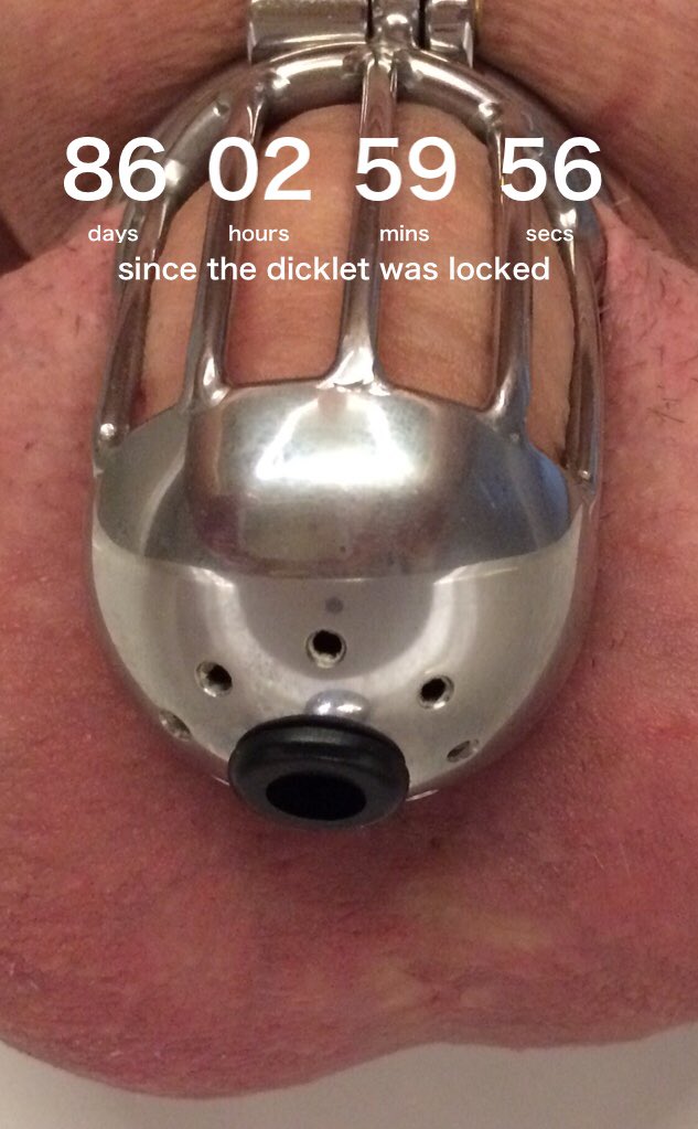 subcidence's tweet photo. Blue balls #locktober #chastitybelt #malechastity #tease #denial #blueballs https://t.co/U086VDGn6v