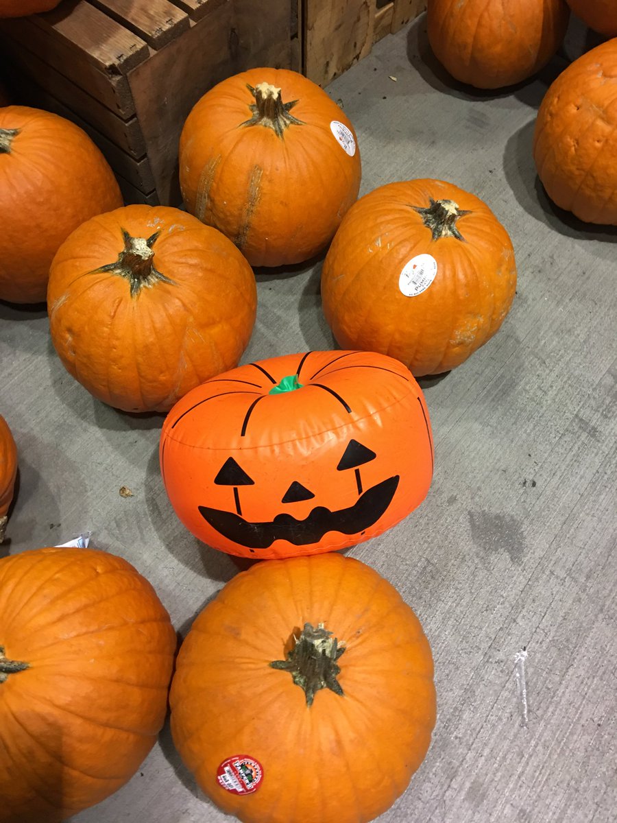 MosheTheGreat's tweet image. LOOKS like another @ForkReporter prank . . . 🤔😏 #forkreport #Halloween