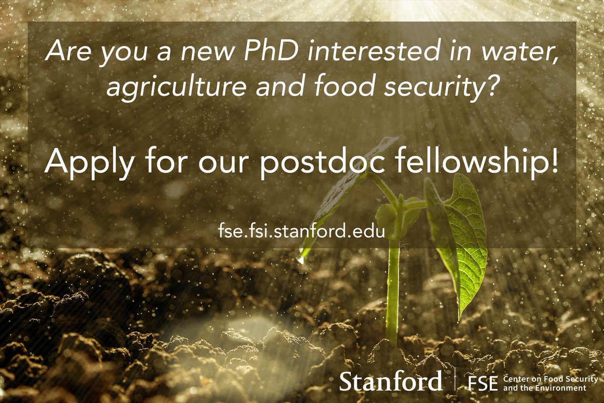 FoodSecurity_SU's tweet photo. Apply now for our @Stanford #postdoc fellowship in #FoodSecurity &amp; help solve global hunger &amp; environmental issues.  https://t.co/9Ytye9IlB3 https://t.co/Am7nLxcUhw