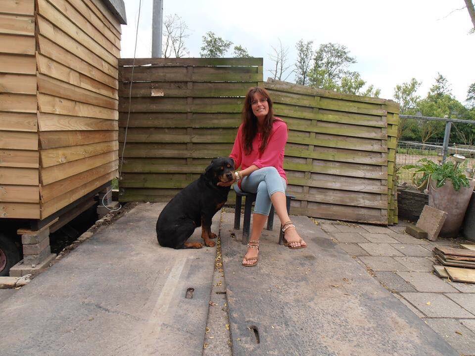 DogsShare's tweet photo. Hond KYRA is gevonden
https://t.co/PFiwW4hLxq https://t.co/1lHjxfnrcP