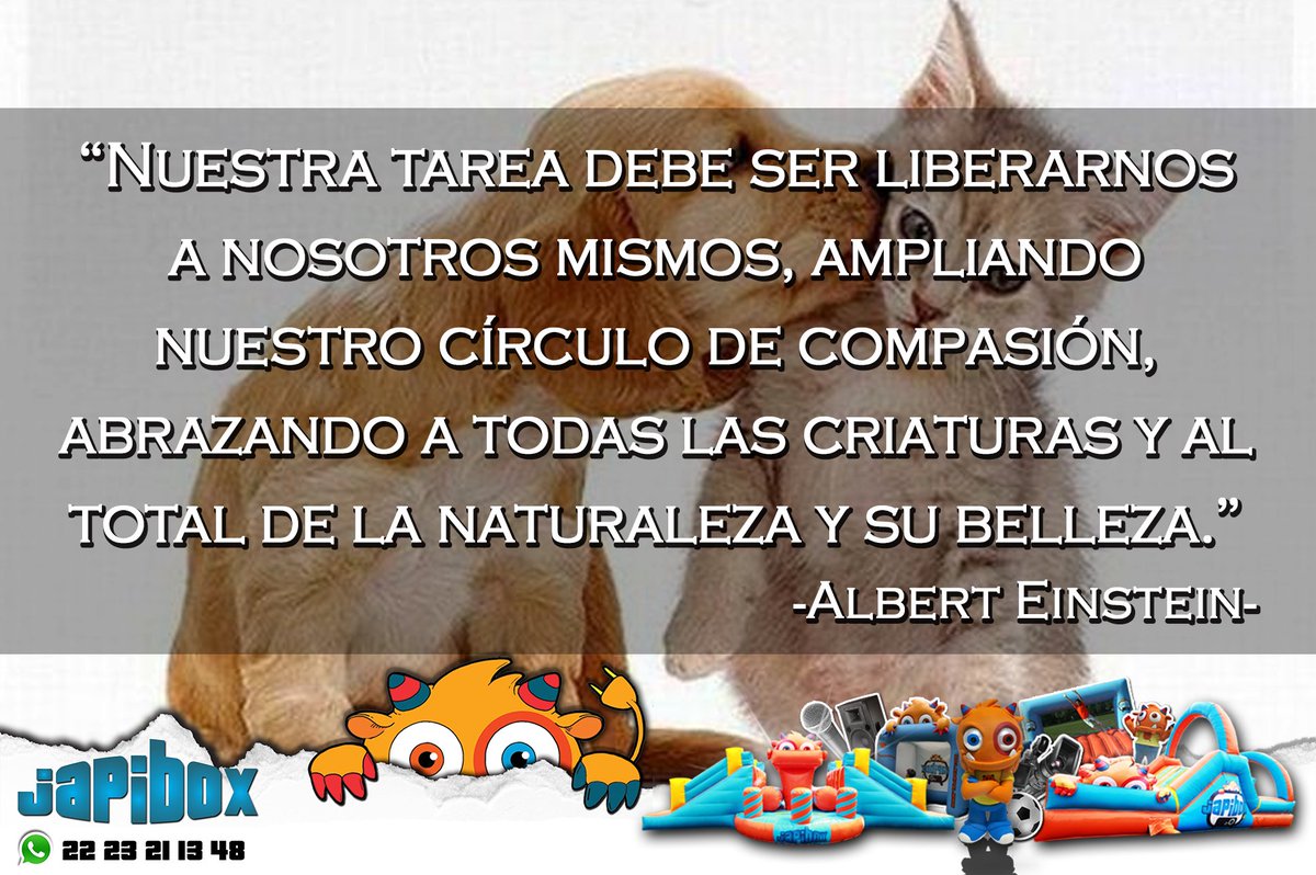 japibox's tweet photo. JapiFrases Día Mundial De Los Animales #Octubre #4DeOctubre #DíaMundialDeLosAnimales #BeJapi https://t.co/9FFwsn8Eny https://t.co/6eOFTIEdZD