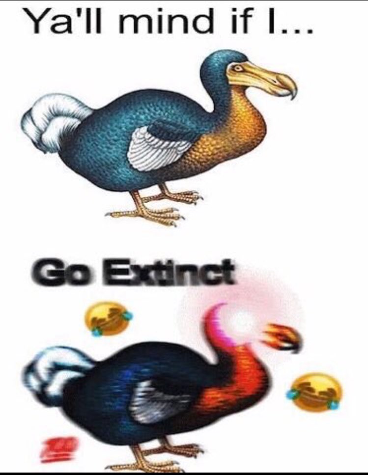 Nia_Payday's tweet photo. #quevolution species unsuited to their environment are like: https://t.co/ekTQljhKzU