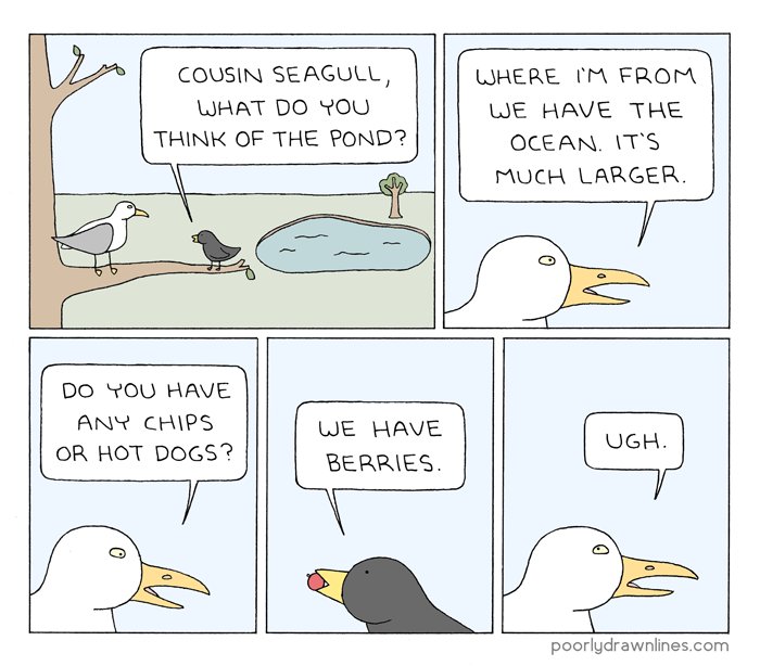 cousin seagull https://t.co/4xyaQzC1im 