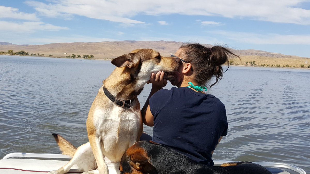 TerriWornek's tweet photo. They say owning a pet can help fight depression and anxiety. I tend to agree! 
#fuckdepression #lpfamily #puppylove  #beachmutt  #nevadatuff https://t.co/E10O17VNuD