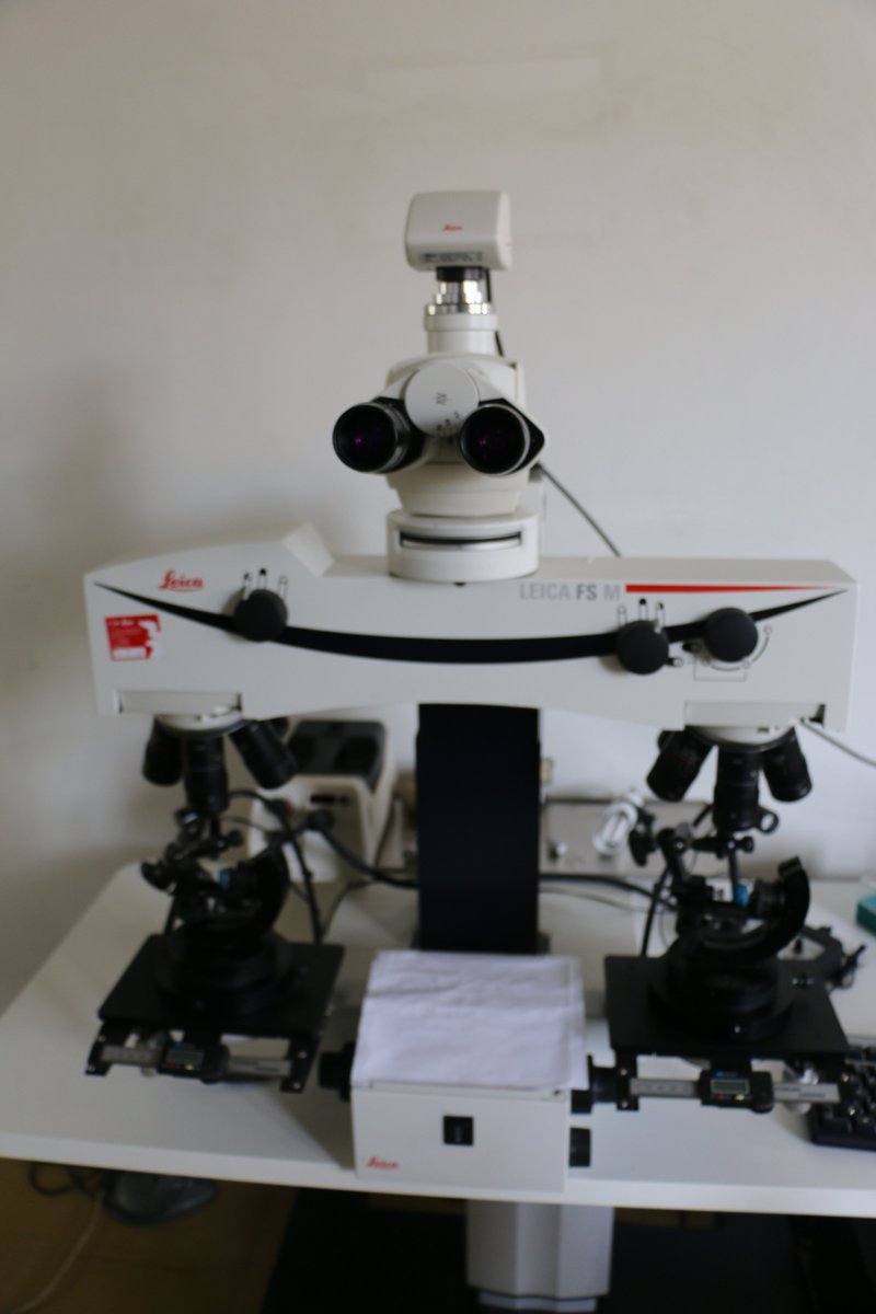 pcientificapr's tweet photo. Balística forense concluiu quase oito mil laudos em dois anos - https://t.co/PNQIHNV9Bz https://t.co/BpXNNFKNXh