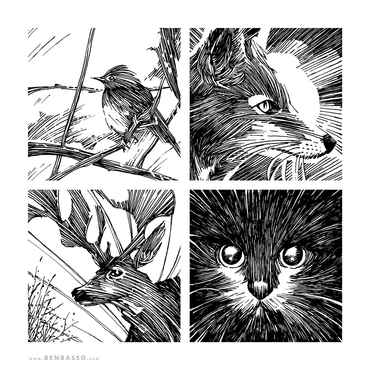 BenjaminBASSO's tweet photo. Hey there. I'm a french illustrator. I love drawing lines.
#artistsontwitter https://t.co/8tdNwrkR0C