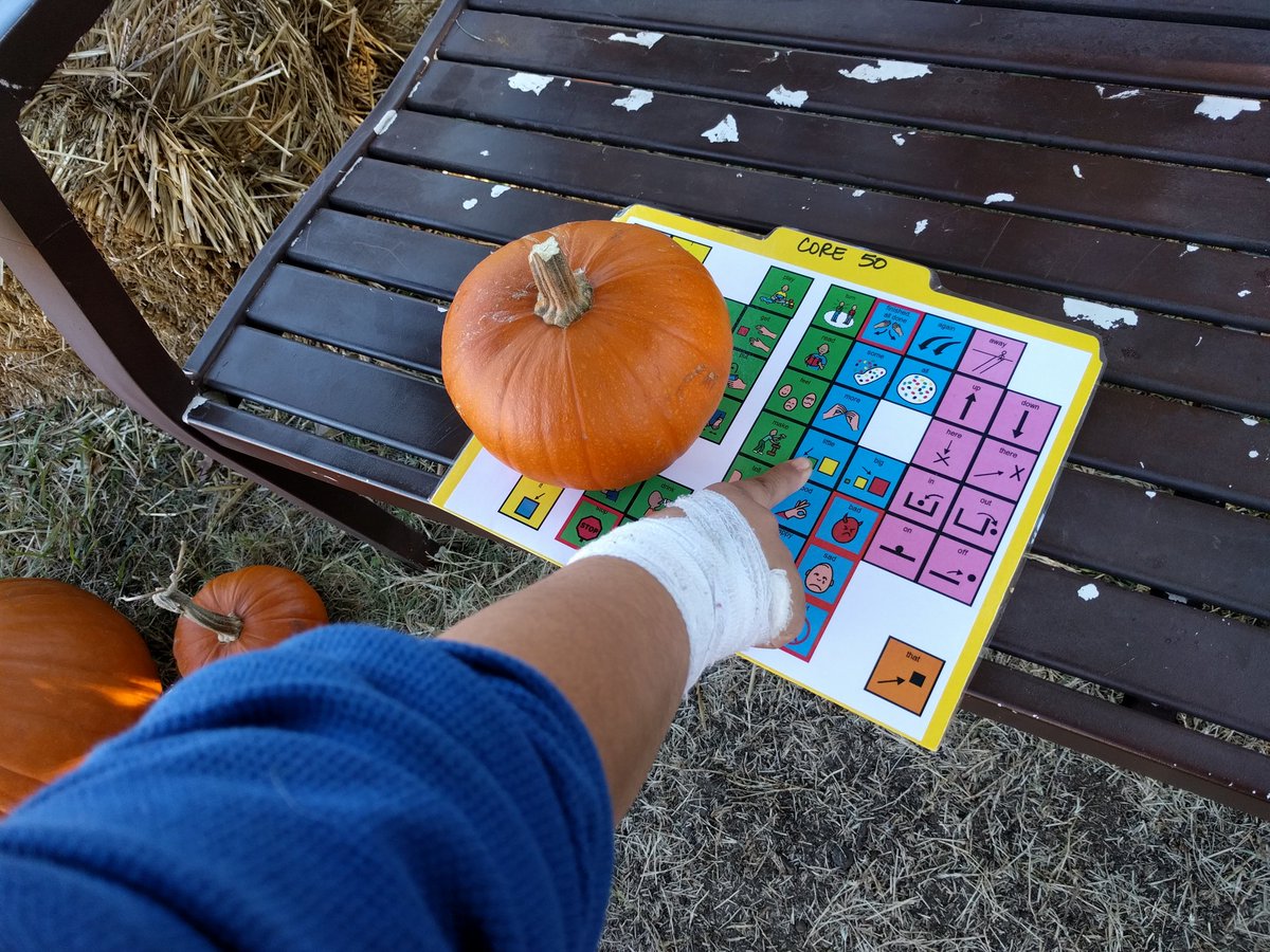 Corinne Le tweet media