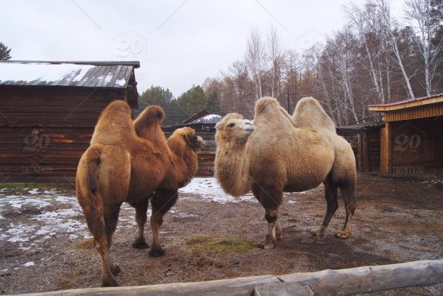 eventselevated1's tweet photo. It's HUMP day!! So close to the weekend, we can do it!! https://t.co/fgeknd3UNB
