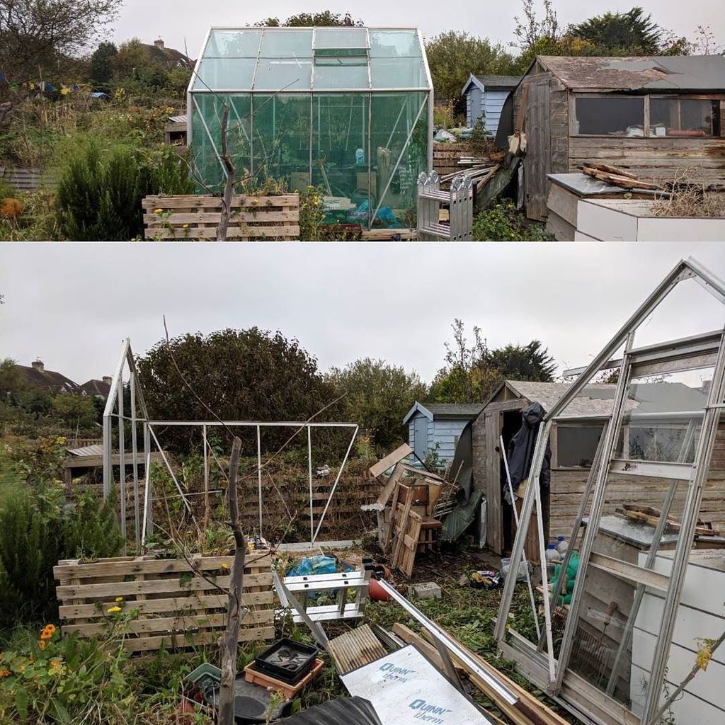 _Vegetablism's tweet photo. Dismantling the greenhouse today. No panes broken, worst injury was from the brambles and nettles. All whilst bein… https://t.co/LkDDdALIpW https://t.co/W2eDj9waZl
