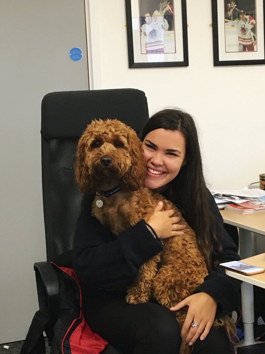 FieAdolfsen's tweet photo. We signed a former NHL player &amp; Luther came by the office - decent day this 😈🐶 #DevilsDogs https://t.co/c3vtTS1ZPj