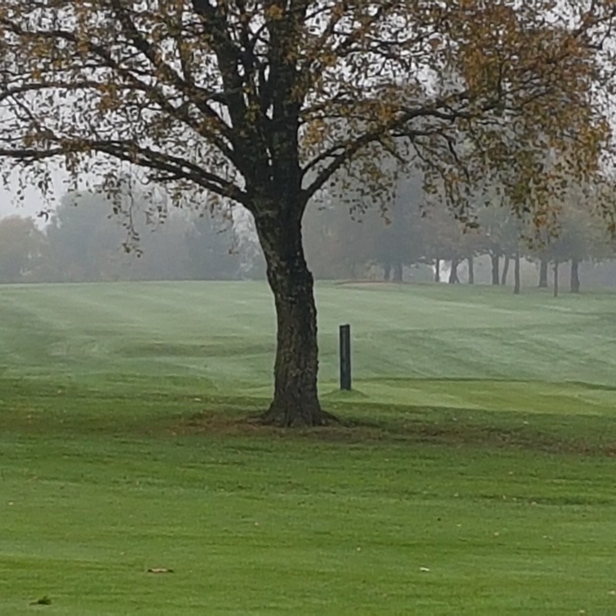 LickeyHillsGolf's tweet photo. Love this picture #golf #goplay9 #greenkeeper #brumhour https://t.co/bCSl7dXZrh