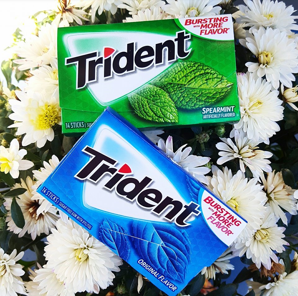 truenorthstores's tweet photo. When life gives you bad breath, make your way to Truenorth for Buy 1, Get 1 FREE Trident Gum! Hurry, deal ends November 5th. #TrueDeal https://t.co/xVHelyI9FS