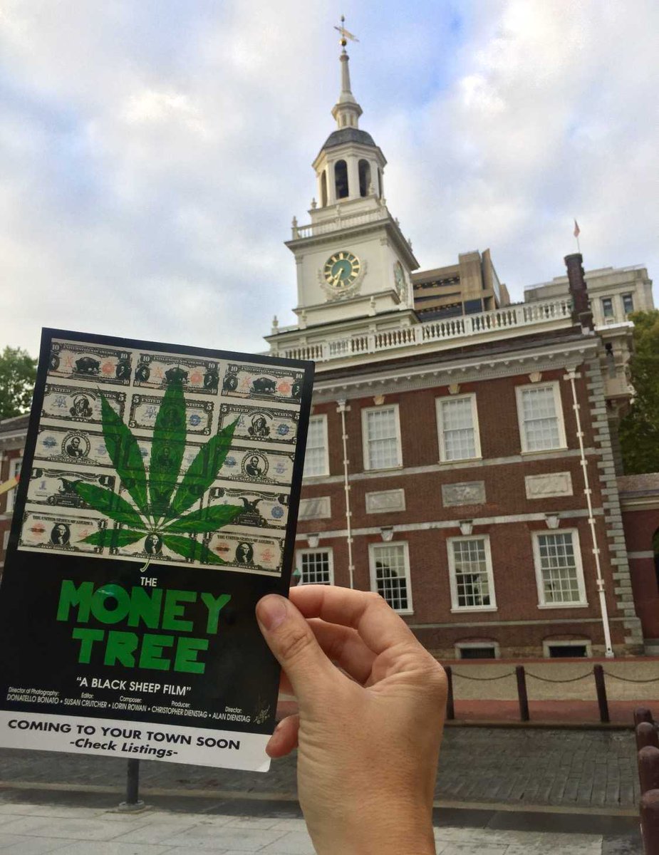 moneytreechris's tweet photo. We believe #Freedom begins in your own backyard! Join our #CultClassic #MarijuanaMovie journey as we take on #Merica's #Cannabis Freedom! https://t.co/HSSlBDVkbU