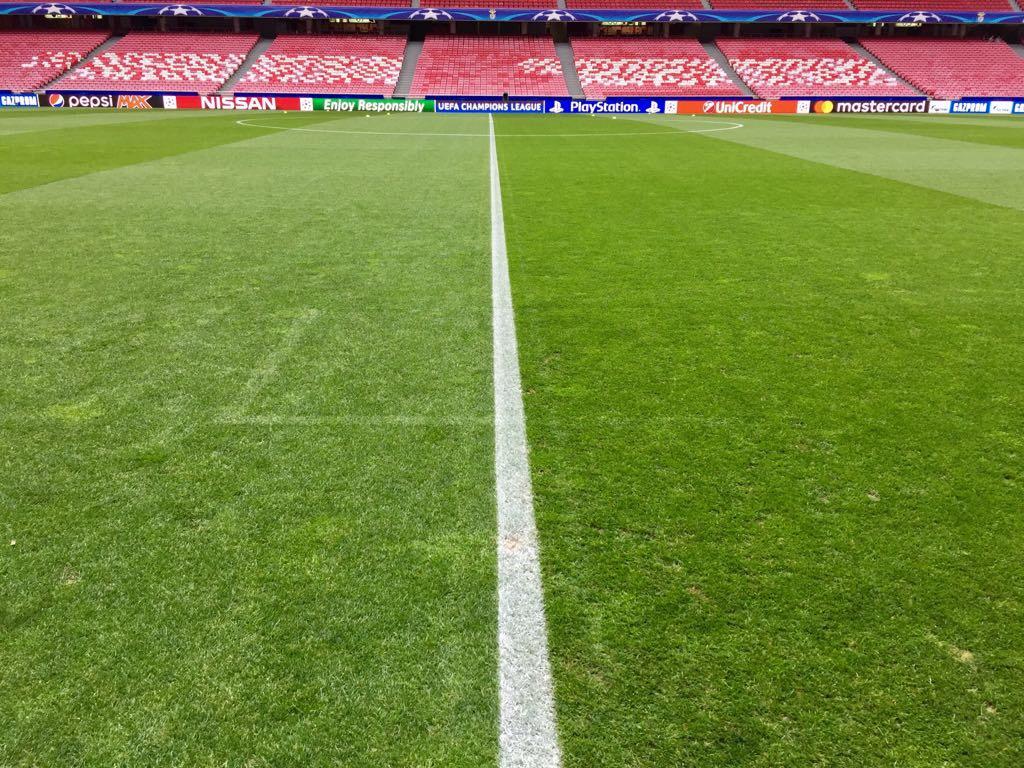 Manchester United tweet media