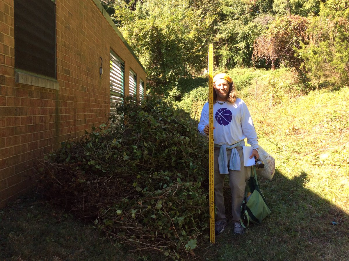 GunstonDandE's tweet photo. Gunston Tech Ed students prep for Gunston Permaculture Gardens. Learn to mark level swales using transit level. #GunstonPRIDE #APS_STEM https://t.co/NU3xFbbXKs