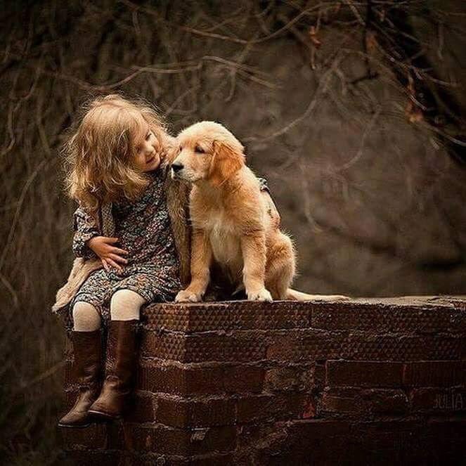 Provası yok hayatın...
Ne yeniden yaşamak mümkün.
Ne de yaşadıklarını silebilmek.