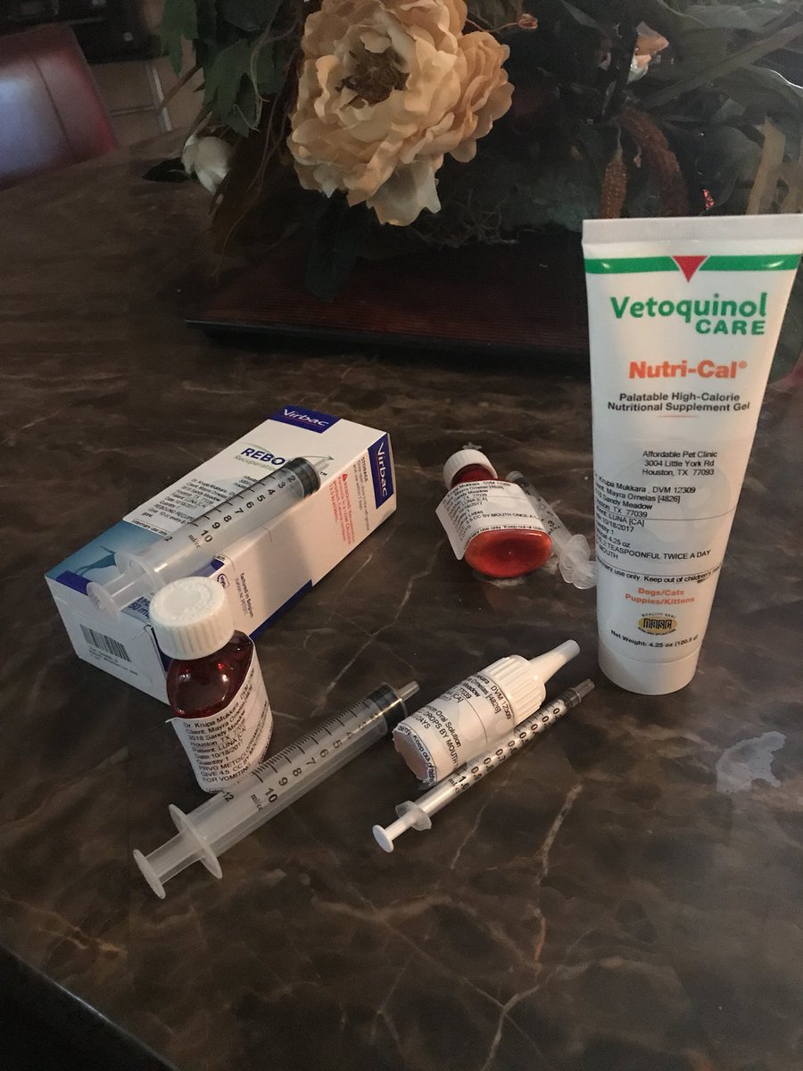 PocahontasMayy's tweet photo. My poor baby got fluids and 5 shots and now this is her life for the next week 🙏🙏 #keepherinyourprayers #dogmom https://t.co/NSh1ZRtpUh