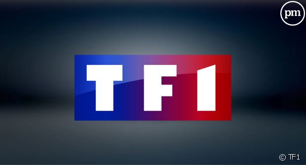 puremedias's tweet photo. Gilles Pélisson officialise le changement de nom des chaînes NT1 et HD1 https://t.co/1wIlFNLI2k https://t.co/ptj8PFWdgf