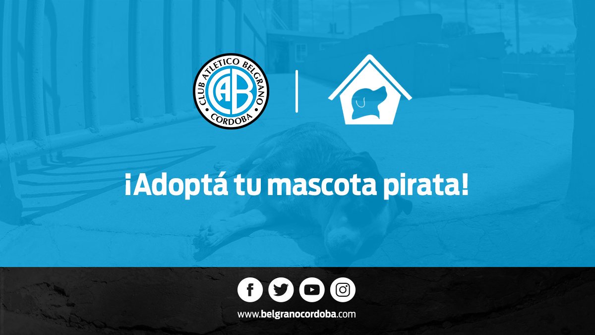 🐕 💙¡No comprés, adoptá una mascota! 
📲 Contacto con <a href="/Refurevivir/">Refugio Can. Revivir</a>: 3516142476 | 3518030181.
👍 #SumateALREFU con #Belgrano.