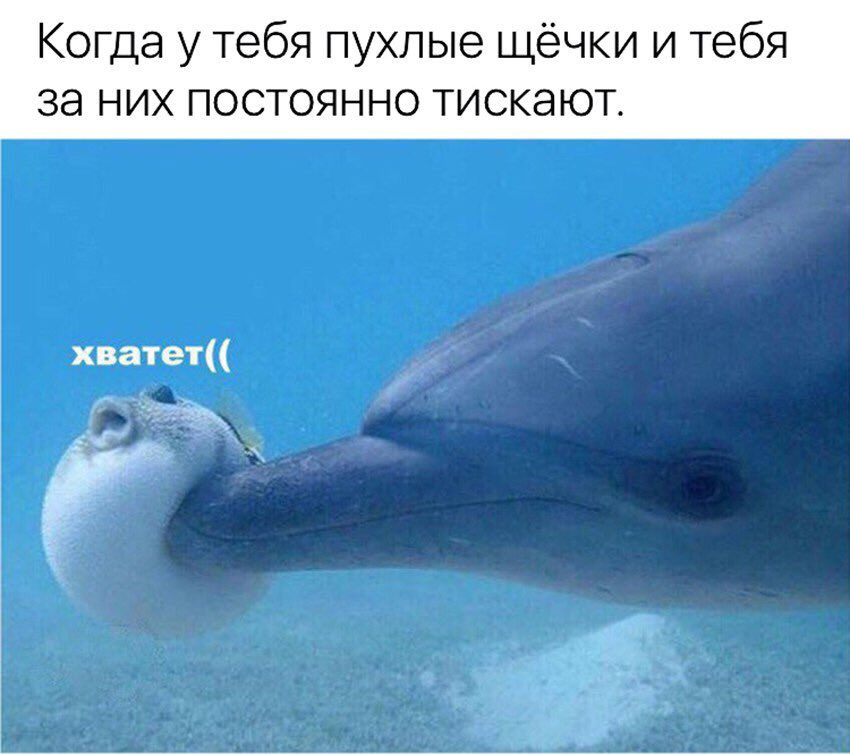 Ольга Шибалóва (@olga_shon) on Twitter photo 