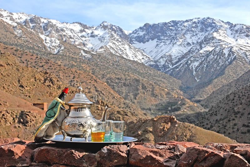 expmorocco's tweet photo. Regal AF : Toubkal National Park #ExperienceMorocco https://t.co/EZbt9FuJ9C