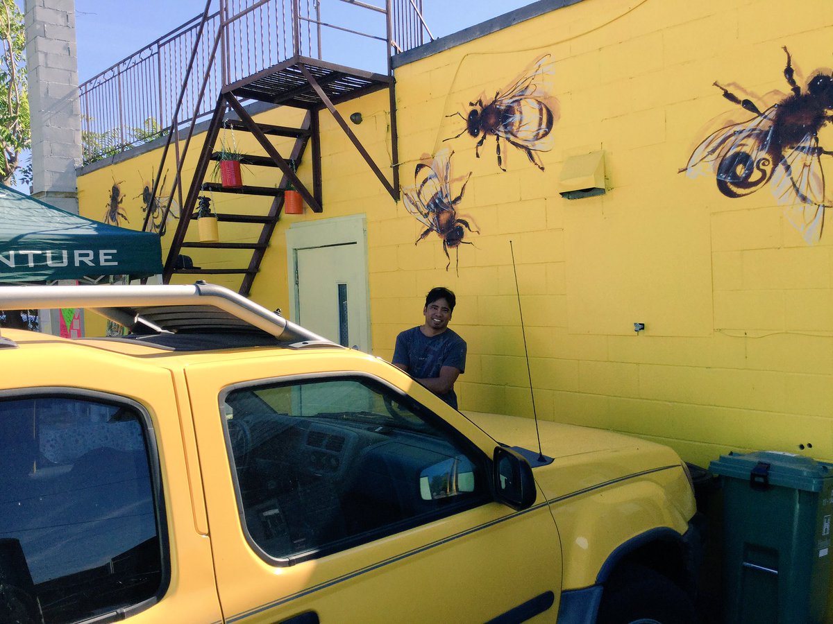 BeautifulAlleysHamON tweet media