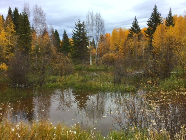 DoullSite's tweet photo. A picturesque #autumn day working away at a remote wellsite while testing and monitoring for gas migration. #alberta https://t.co/cp2ZzyiR5C