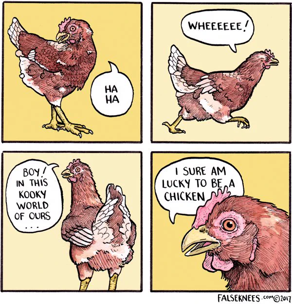 Nothing bad ever happens to chickens
https://t.co/FKf9CiDX2J
#falseknees #chicken #comic #webcomic #wheeeeee #hen 