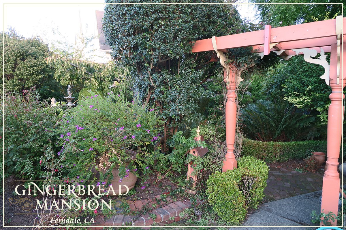 Gingerbreadbnb's tweet image. Our beautiful #garden is a great place for a #stroll, #relax and, and plan! Wouldn't you like to visit?  #bedandbreakfast #california