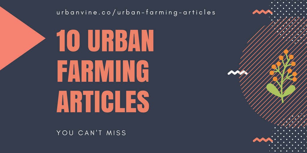 basil_grower's tweet photo. The 10 Most Popular #urbanfarming articles on the internet: 

> https://t.co/tjcid0uhc8 https://t.co/Ipfi2xont2