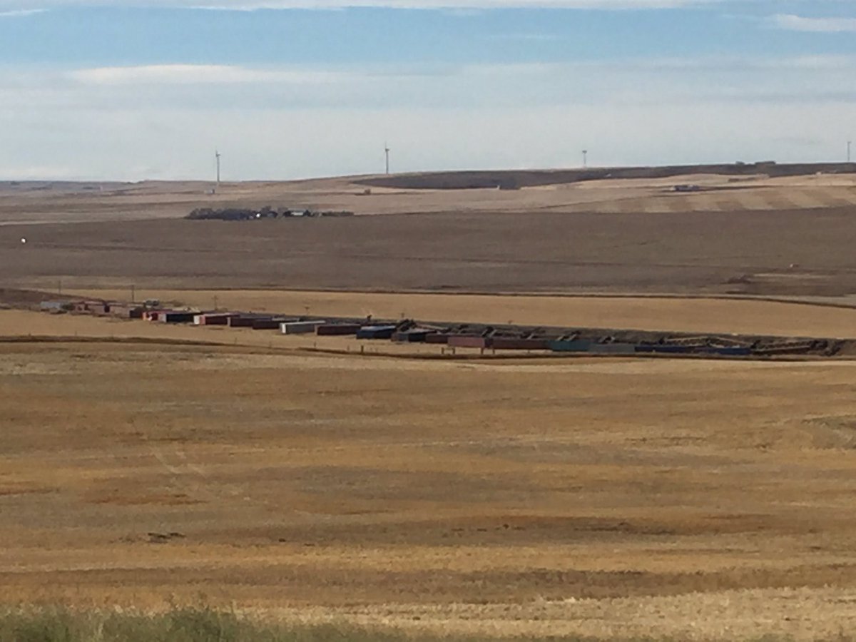 Cleanup after train derailment near Huxley ongoing. CN says 67 cars derailed onto their sides during yesterday's wind storm in Central AB.