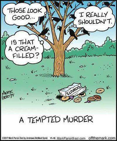 VillicanaAlicia's tweet image. 