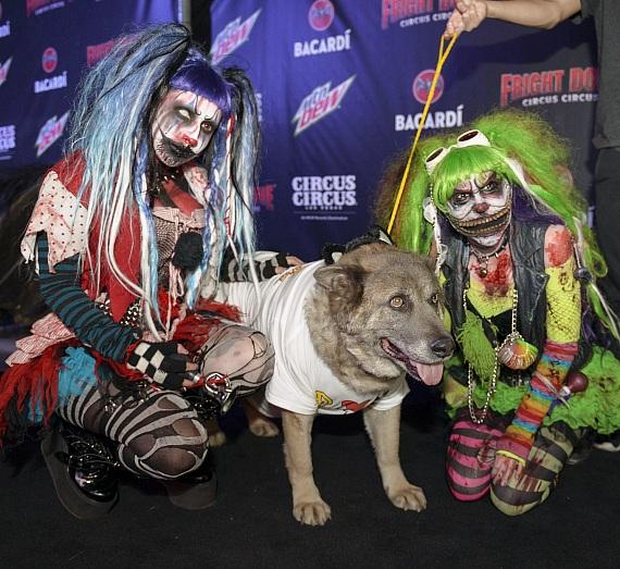 VegasNews's tweet image. Friday the 13th Weekend at @FrightDome with @NevadaSPCA, @JaymesV, @JonathanBennett and Zak Bagans @VegasNews - bit.ly/2yqNPpc