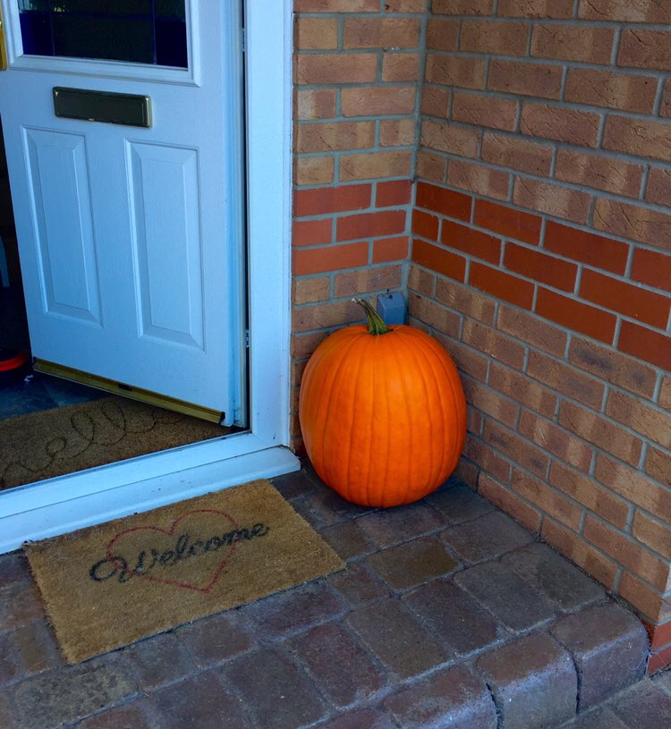 My “little” pumpkin has become the talk of the street 😂🎃