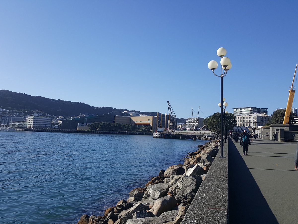 mandycash's tweet photo. Gorgeous start to the day in Welly. Bit of spring ☀️ https://t.co/Tq0rvu4n5D
