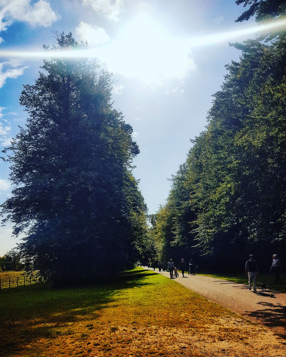 throughireeye's tweet photo. Another one considering this is our new favourite place and a great running spot. Castletown House @ancienteastIRL #kildare https://t.co/0Mq5Vns3ji